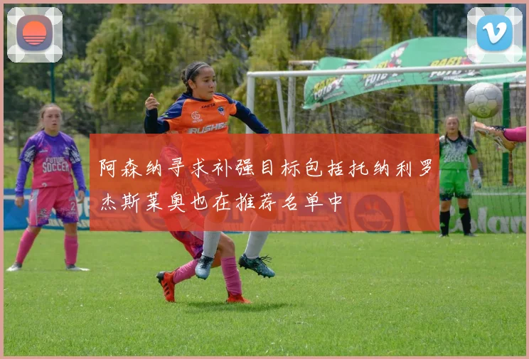 阿森纳寻求补强目标包括托纳利罗杰斯莱奥也在推荐名单中