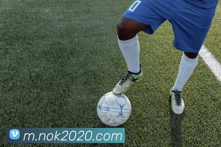 企业概况